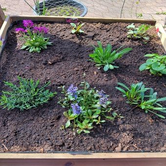 Bloemen tafel tuinieren op hoogte