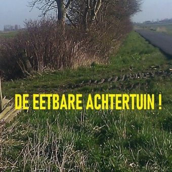 De eetbare achtertuin