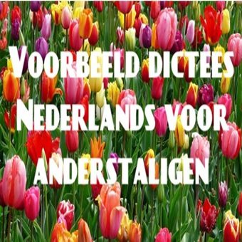 Dictees voor anderstaligen