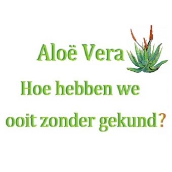 Aloe Vera: Het Hype Plantje