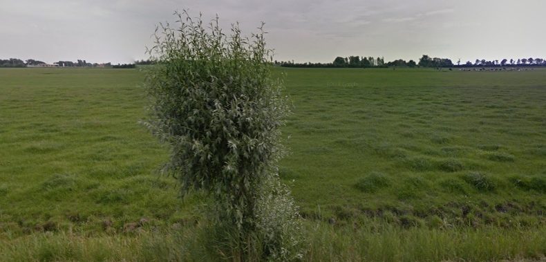 Webshop in de weilanden