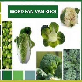 fan van kool